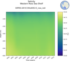 Time series of Western Ross Sea Shelf Salinity vs depth